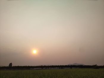 Scenic view of field against sky during sunset