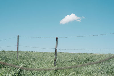 Scenic view of field against blue sky