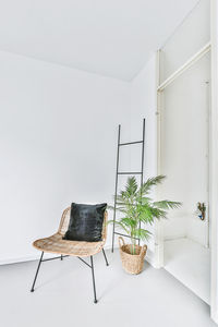 Potted plant on table against wall at home