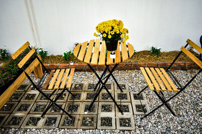 High angle view of potted plants on table