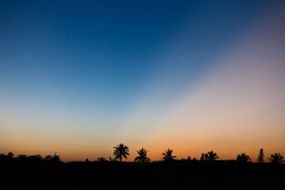 Silhouette trees against clear sky during sunset