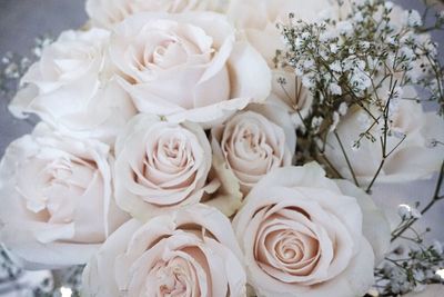 Close-up of white flowers