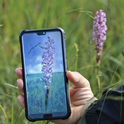 Cropped hand of woman using mobile phone