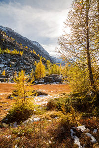 Scenic view of mountains during winter