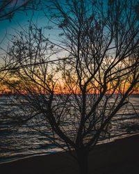 Silhouette bare tree against sky during sunset