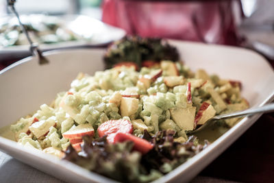 Close-up of food served in plate
