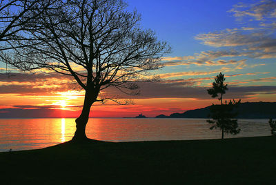 Silhouette bare tree by sea against sky during sunset