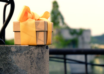 Close-up of tree against sky