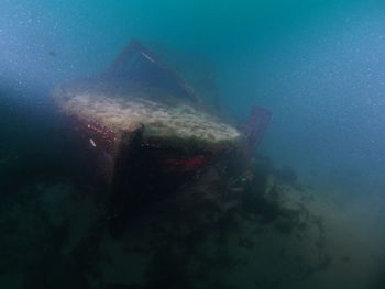 View of an swimming underwater