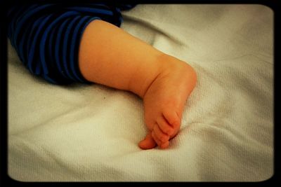 Close-up of baby feet