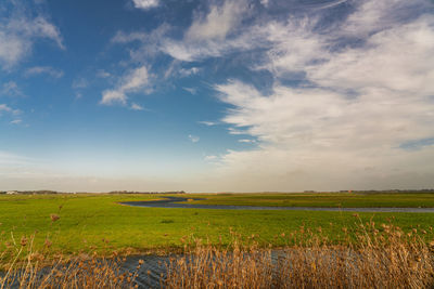 Scenic view of agricultural field against sky