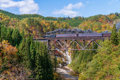 Bridge over river amidst trees against sky