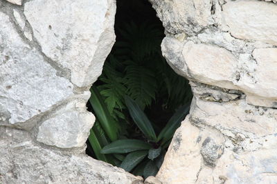 High angle view of rocks on wall