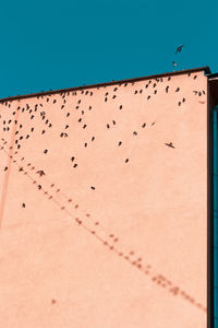 Low angle view of birds on wall