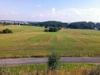 Scenic view of grassy field against sky