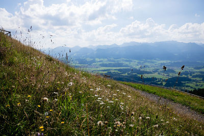 Scenic view of field against sky