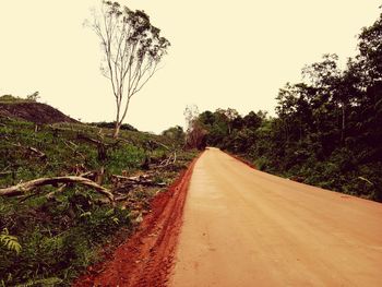 Empty road along plants and trees against sky