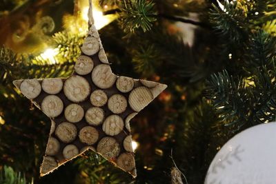 Close-up of christmas tree