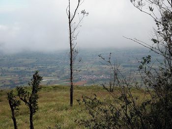 Scenic view of landscape against cloudy sky