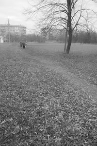 Men in park against sky