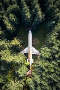 Aerial view of abandoned airplane in forest