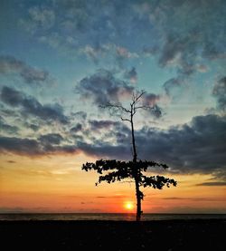 Silhouette tree against sky during sunset