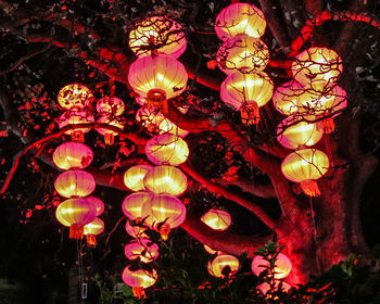 Low angle view of illuminated lanterns hanging at night