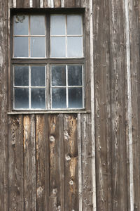 Trees seen through window