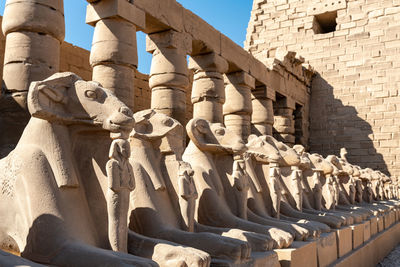 Low angle view of statue 
karnak temple in luxor egypt is a travel back in time