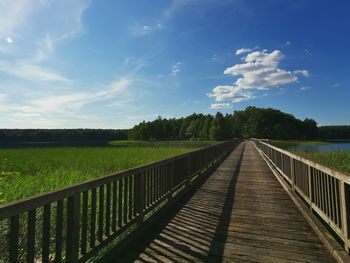 Boardwalk amidst plants against sky