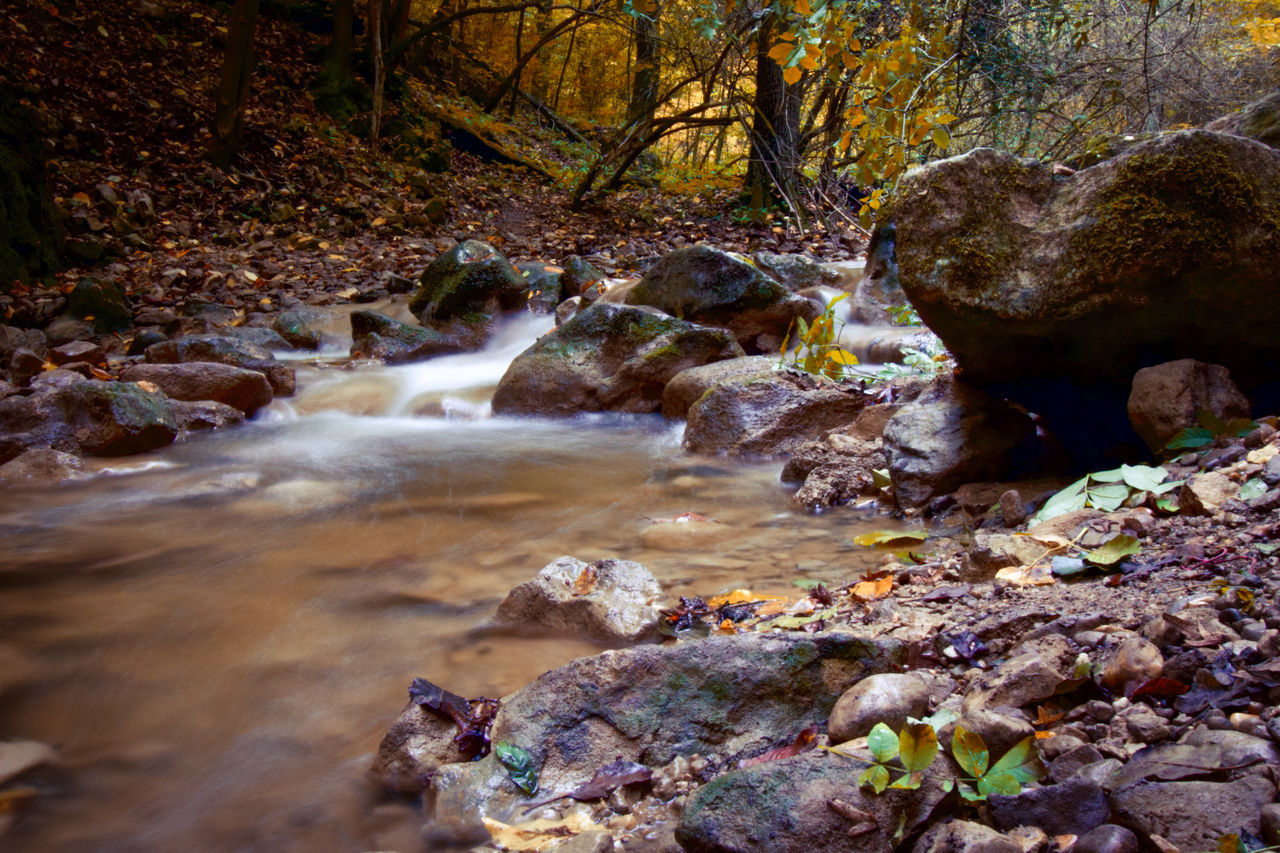 STREAM FLOWING THROUGH ROCKS