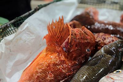 High angle view of fish for sale in market