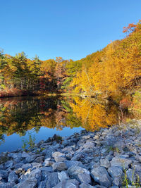 Reflection of trees in lake during autumn