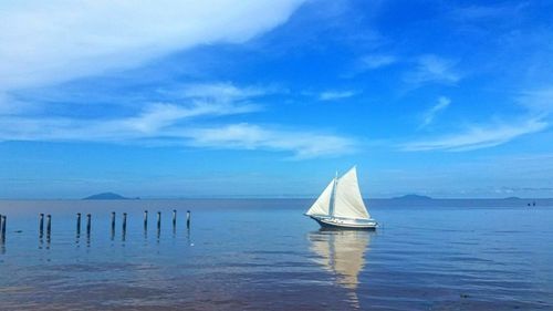 Sailboat sailing in sea against sky