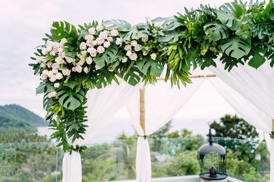 Empty chuppah at resort