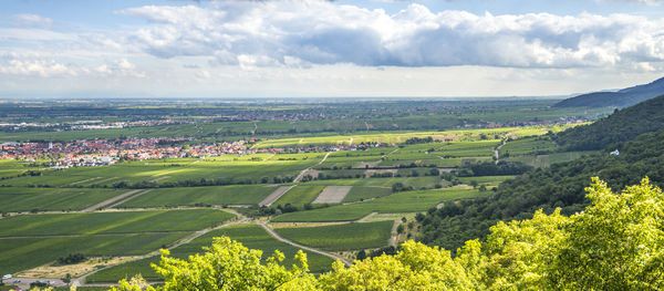 High angle view of agricultural field against sky