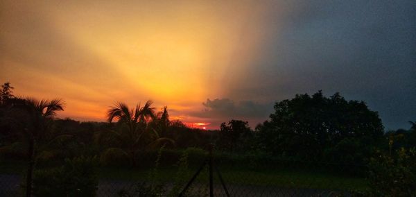 Silhouette trees on field against sky during sunset