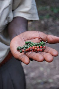 Cropped image of man holding peppers