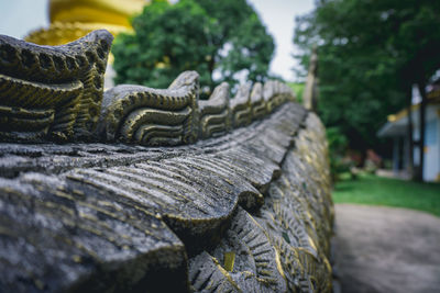 Close-up of buddha statue against trees