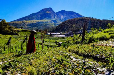 Rear view of plants on field against mountains