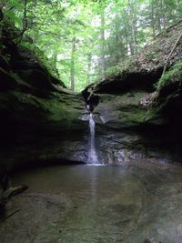 Scenic view of waterfall in forest