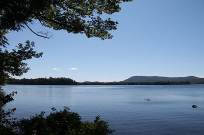 Scenic view of lake against clear blue sky