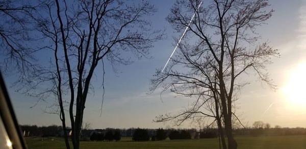 Bare trees on field against sky during sunset