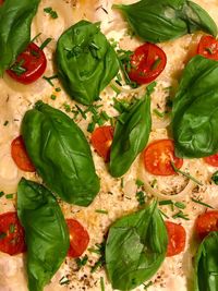 Close-up of pizza on leaves