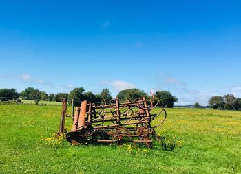 View of agricultural field against sky