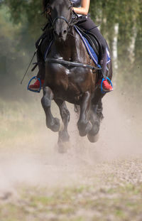 Low section of woman riding horse on field