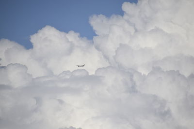 Low angle view of airplane flying in sky