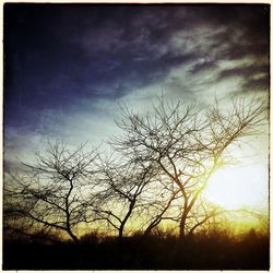 Silhouette of bare tree against cloudy sky