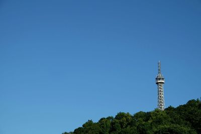 Low angle view of trees against clear blue sky