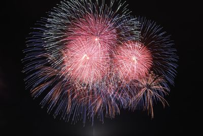 Low angle view of firework display against sky at night